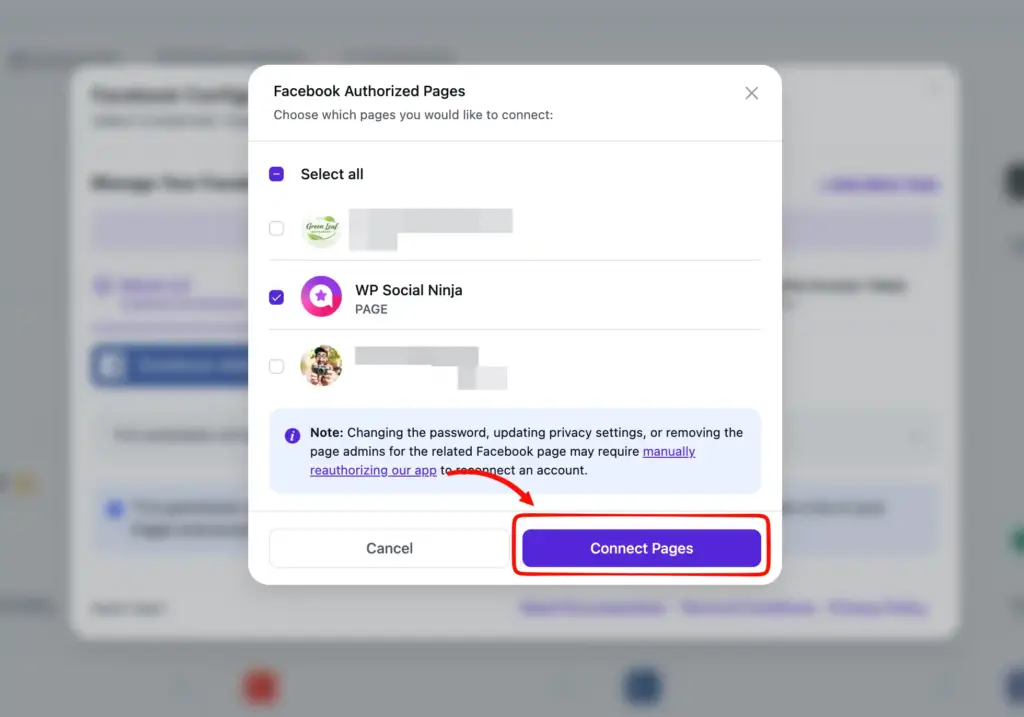 Facebook page selection for connecting with WP Social Ninja