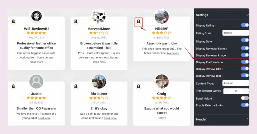 Display platform icon option of WP Social Ninja for your embedded Amazon reviews