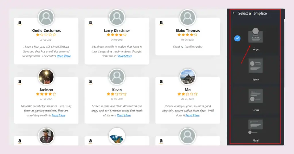 Template types of WP Social Ninja for your embedded Amazon reviews