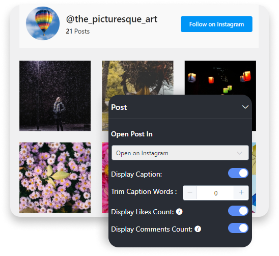Instagram feed detailed editor panel
