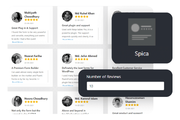 Fluent Forms reviews number of reviews
