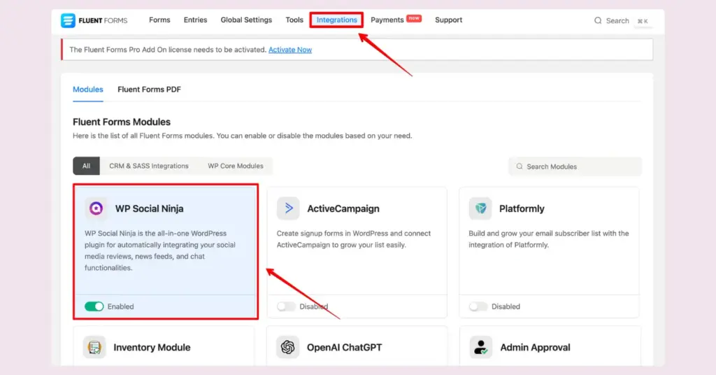 Enable Fluent Forms integration with WP Social Ninja