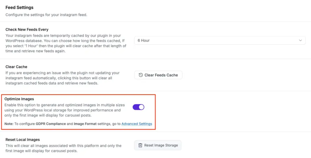 WP Social Ninja feed performance settings with image optimization, caching, and faster loading configuration