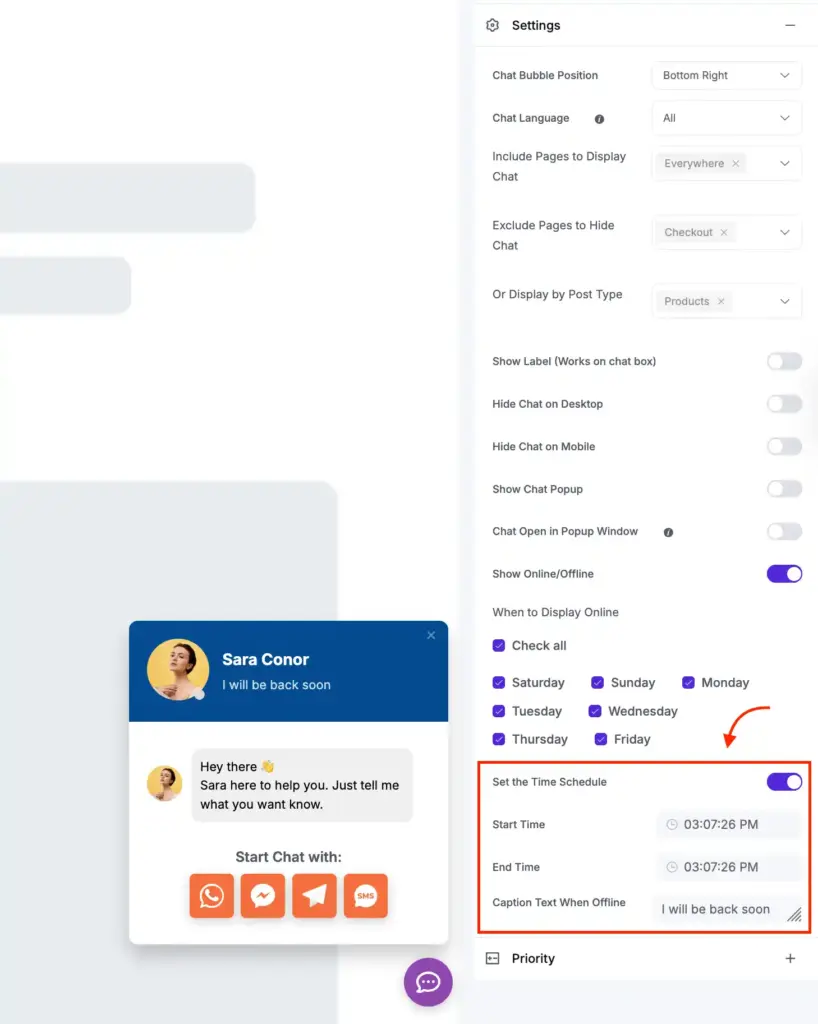 WP Social Ninja chat widget offline schedule with availability hours, time settings, and custom offline message