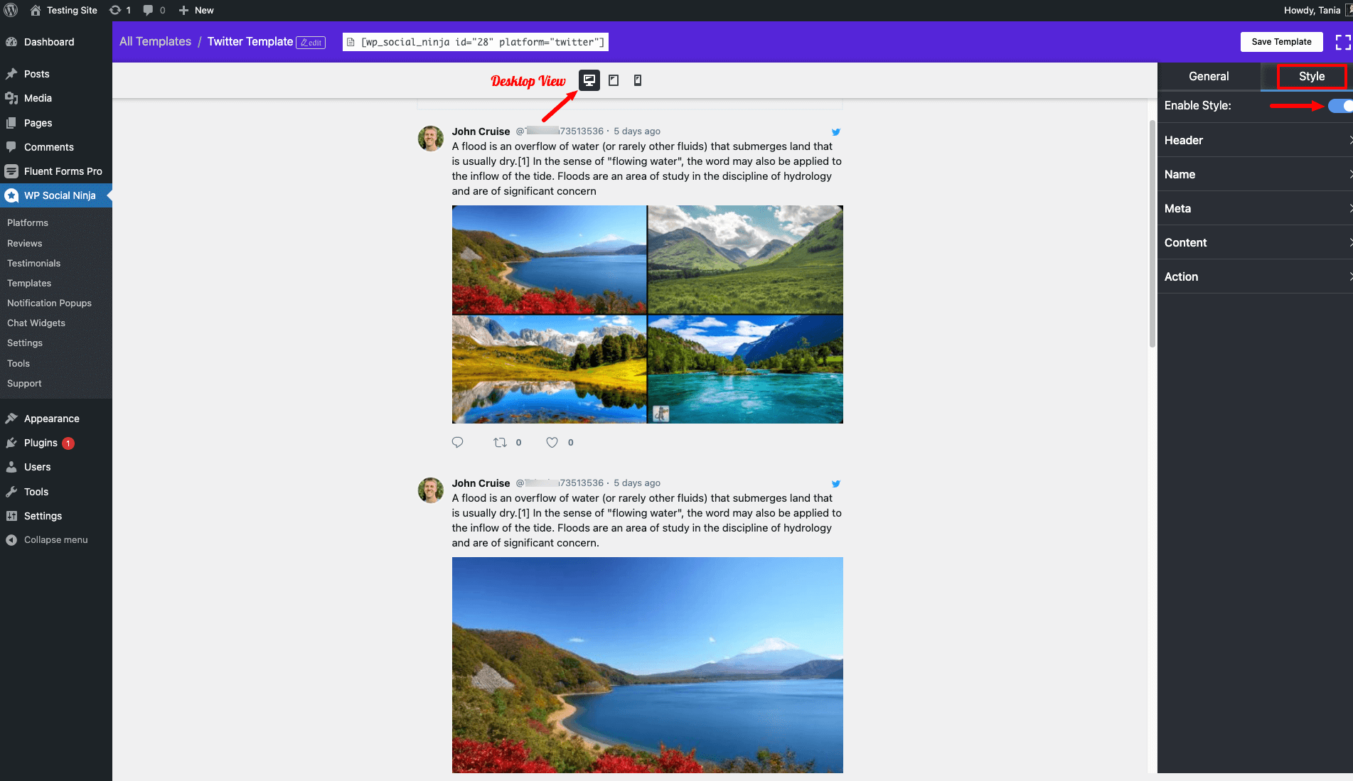 Website styling desktop view