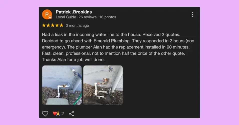 A positive review example for home services