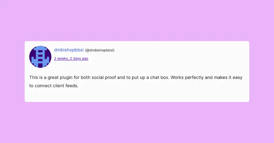 A positive review example for software company