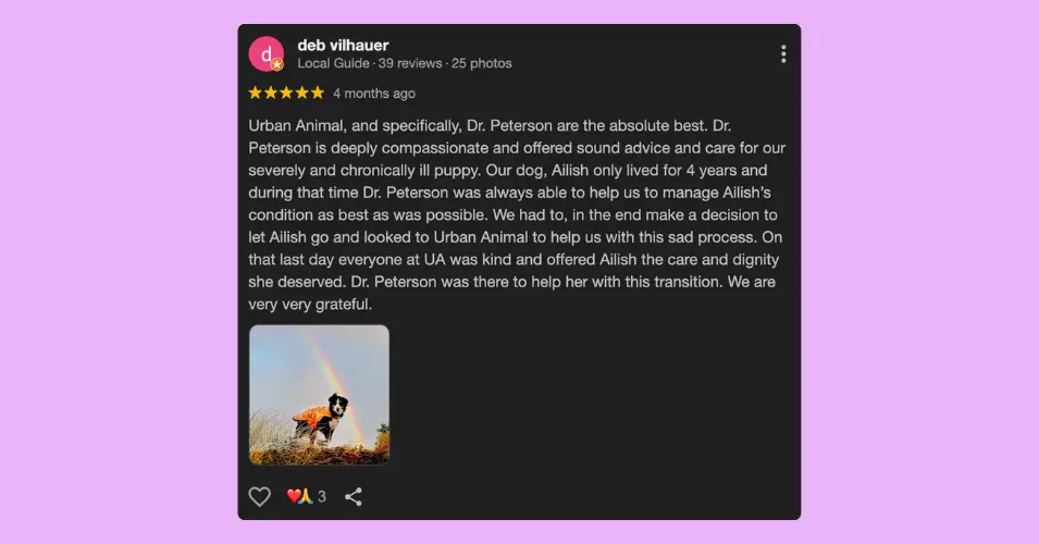 A positive review example for veterinary clinic