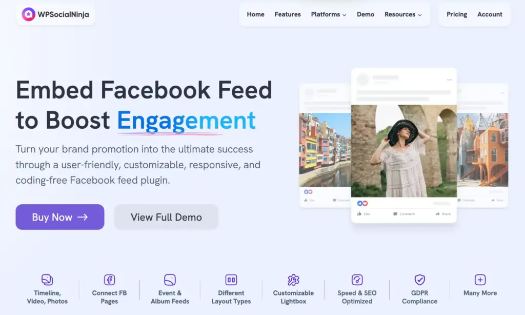 facebook feed plugin wp social ninja