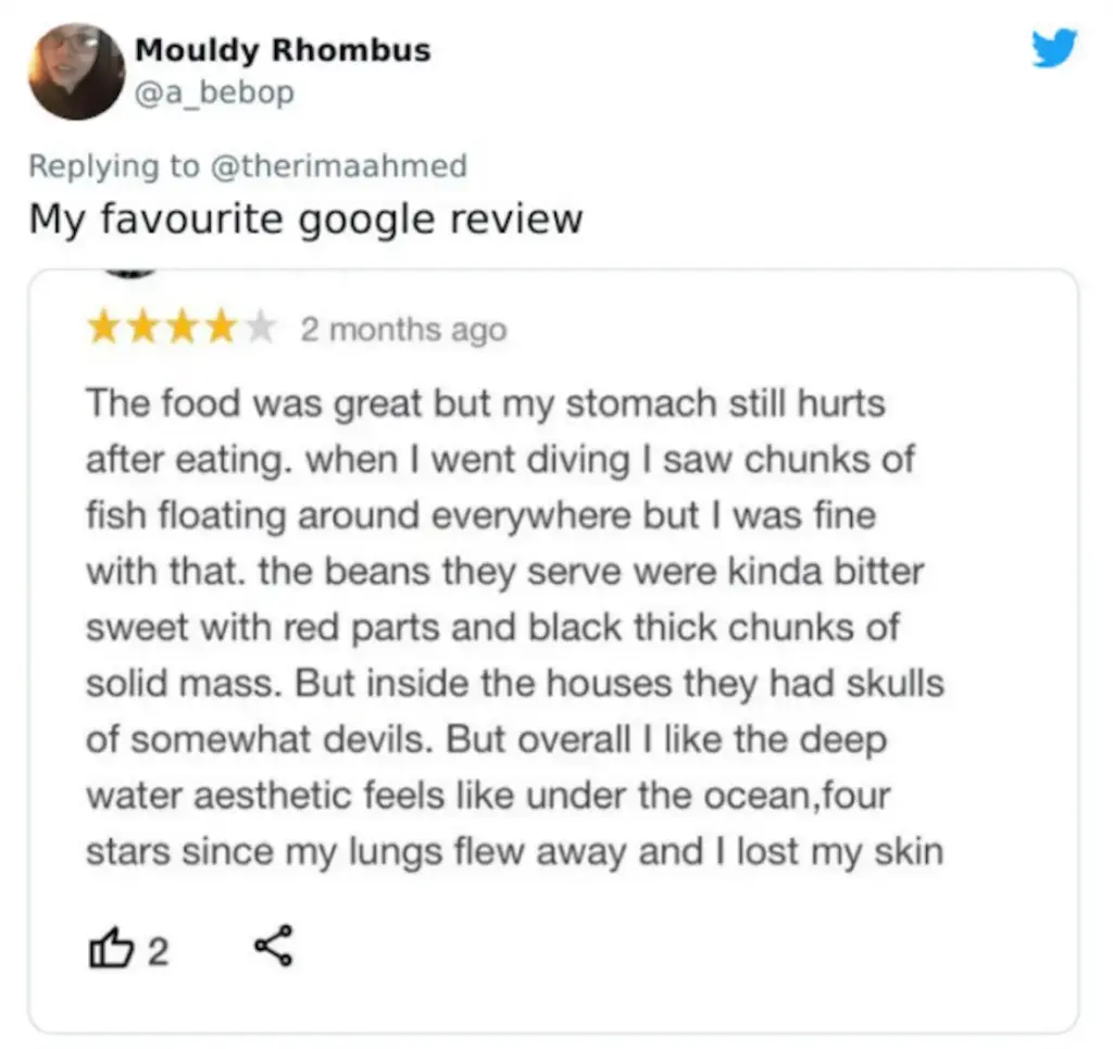 funny reviews example