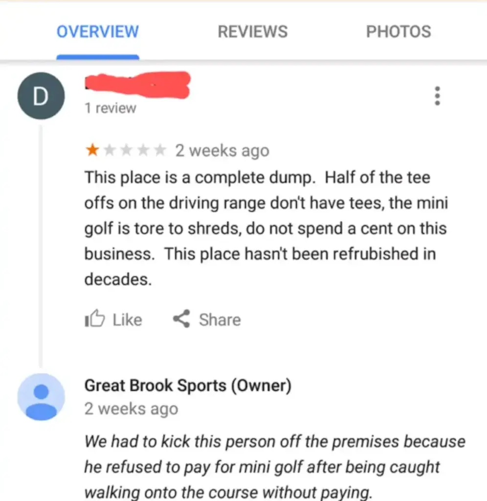 funny reviews example google