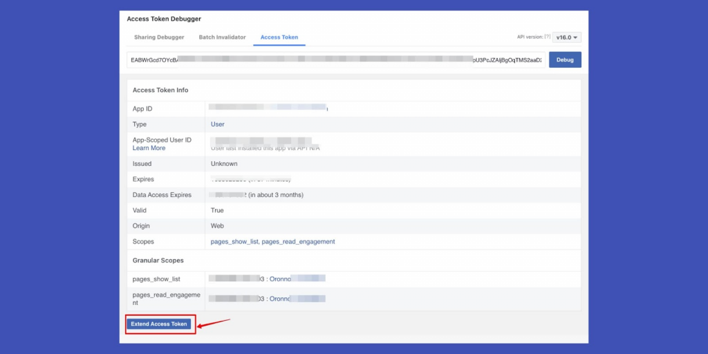 How to get Facebook access token: Debug and extend access token