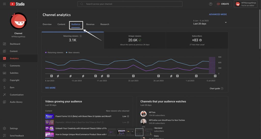 This is the Audience section of the Channel Analytics.