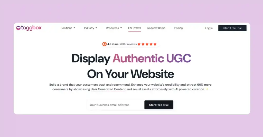 taggbox user generated content platform