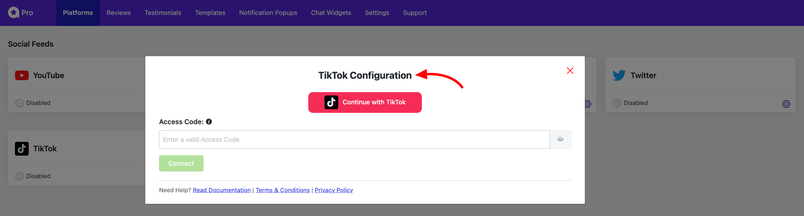 TikTok Configuration