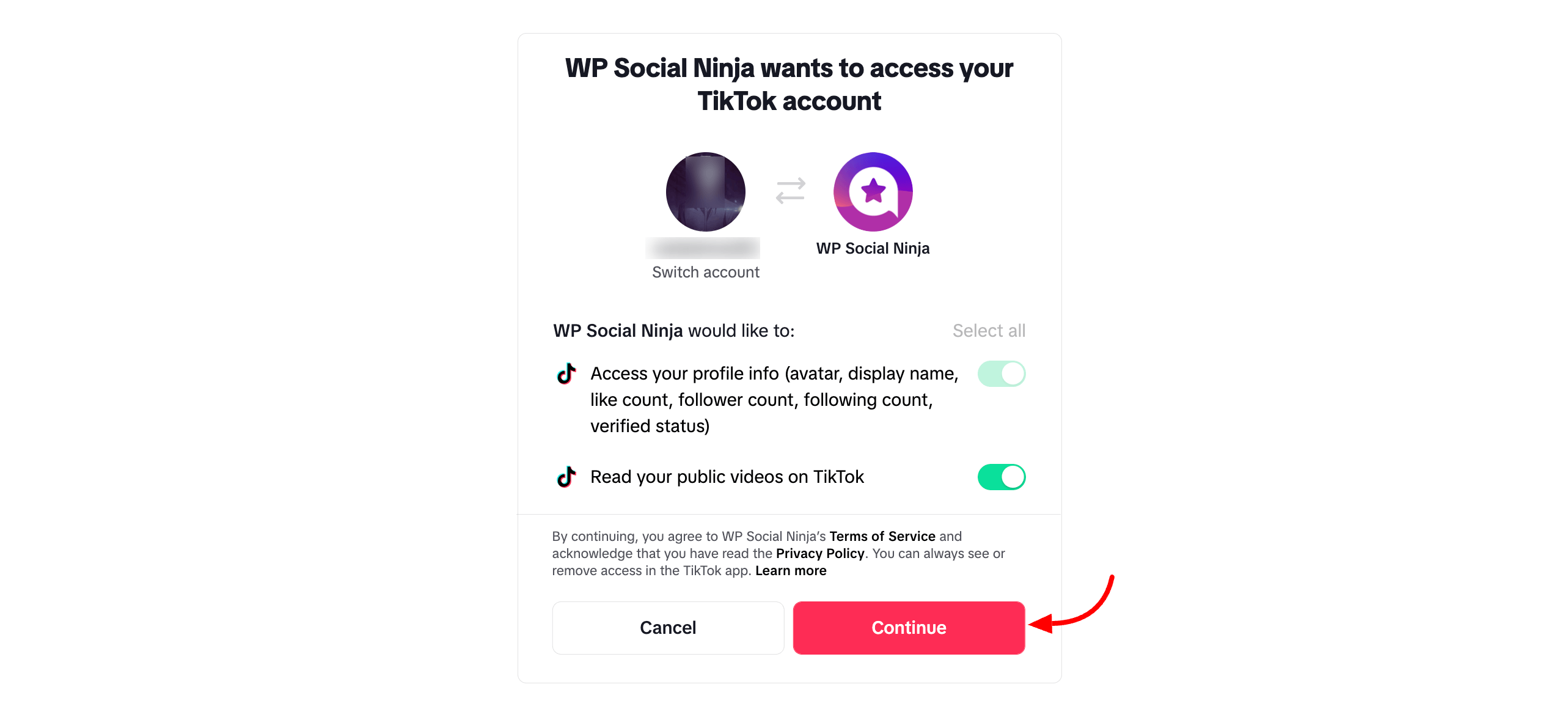 TikTok Account Access Permission 