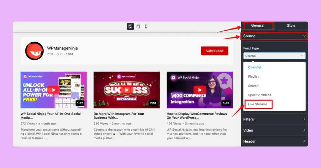 General customization features for YouTube live stream feed with WP Social Ninja