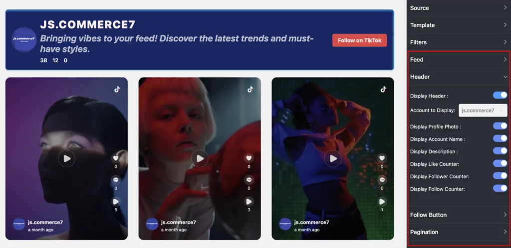 Header customization with Custom Feed for TikTok.