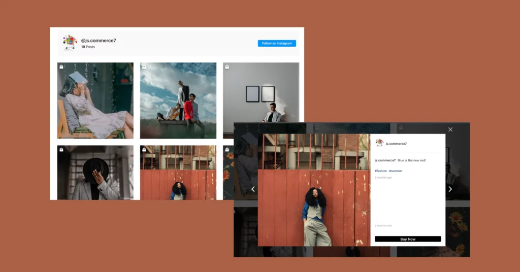 Shoppable Instagram Feed on website