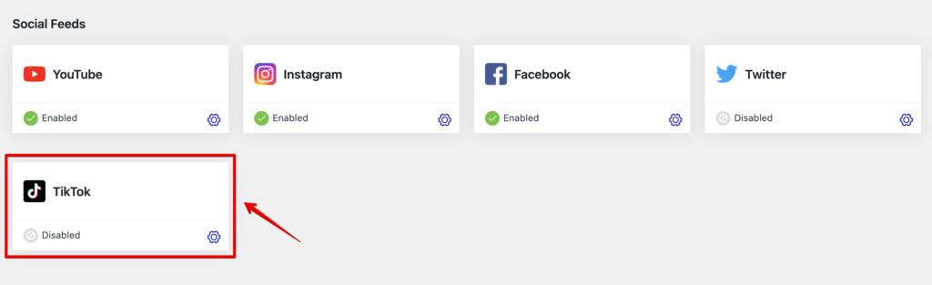 TikTok at the Social Feeds section of WP Social Ninja