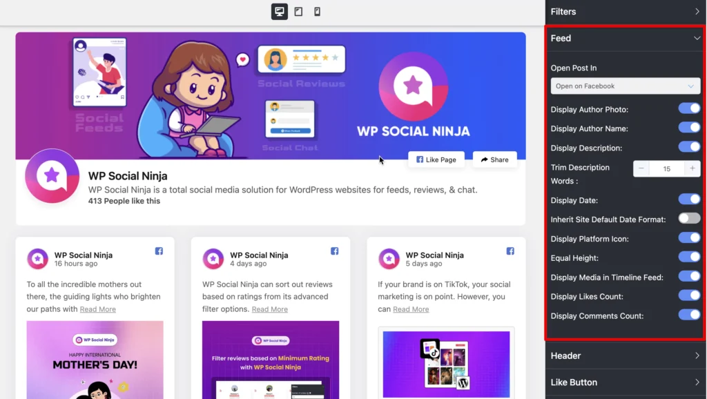Feed options in the General customization section of WP Social Ninja for Facebook page embed