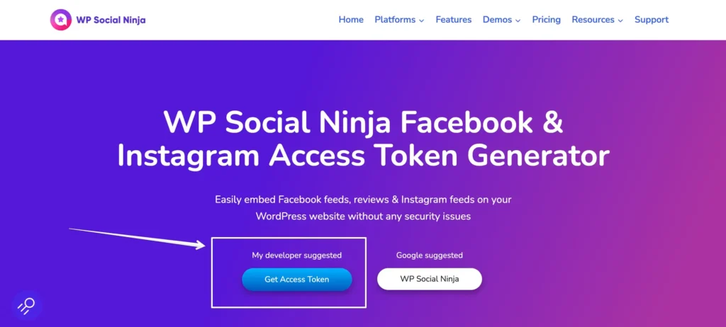 Manual access token generator of WP Social Ninja