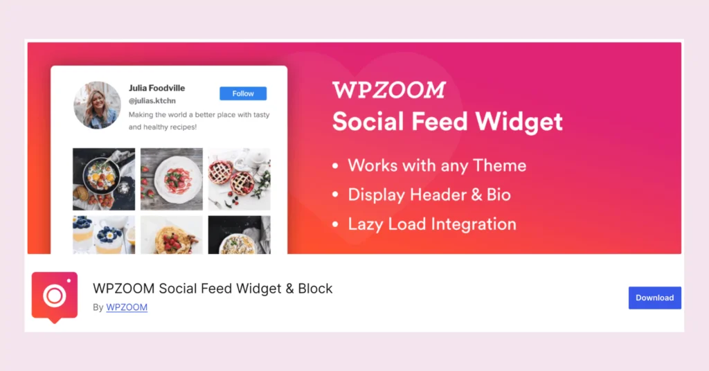 WPZOOM, an Instagram plugin for WordPress websites