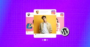 Instagram plugin for WordPress websites