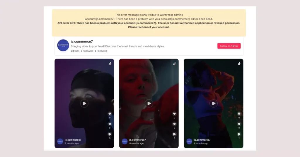 TikTok feed error notification on frontend