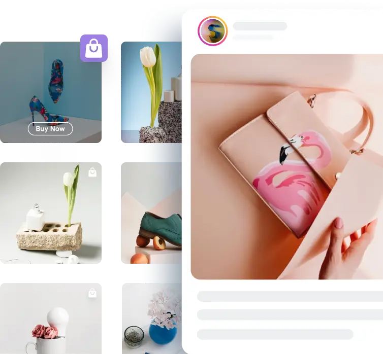 wpsn shoppable feed banner