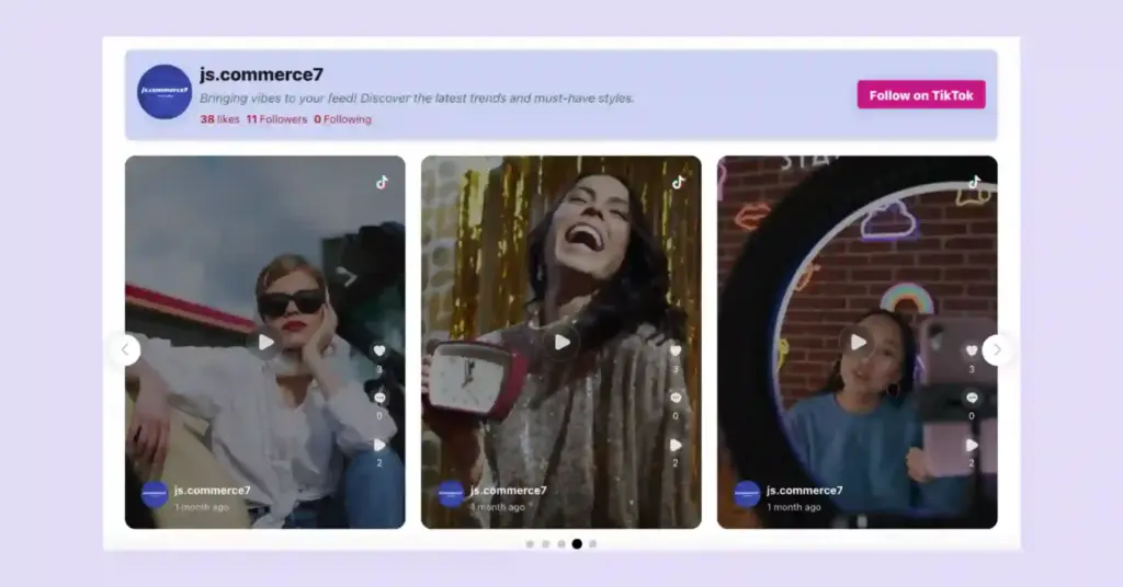 TikTok feed on website