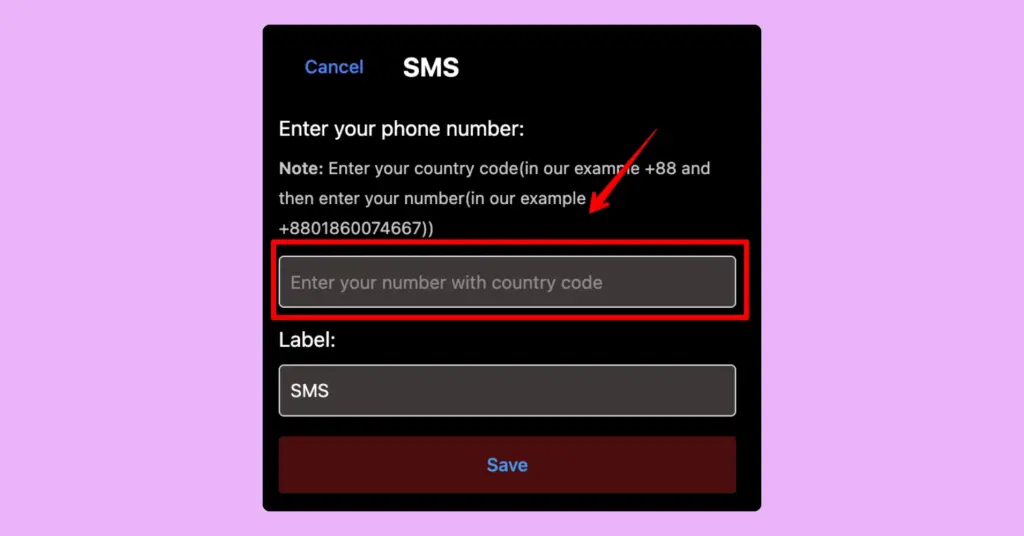 connecting sms chat widget with wp social ninja 3.17.0 (1)