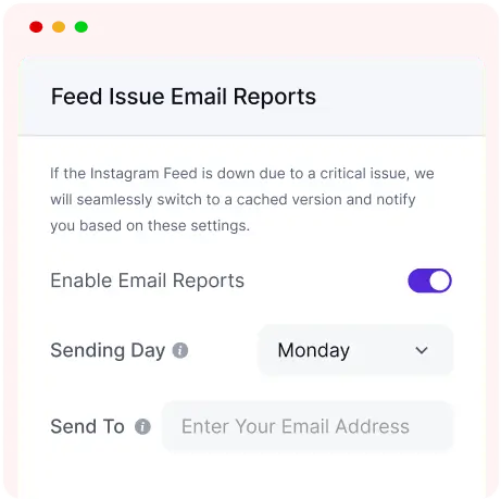 feed issue email reports