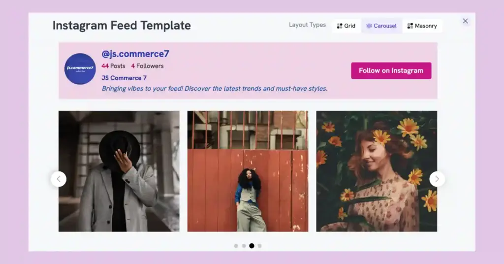 Showing social feed on website from Instagram (Demo from WP Social Ninja)