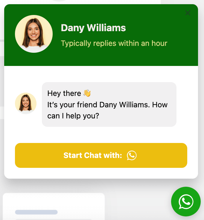 whatsapp chat box general template (1)