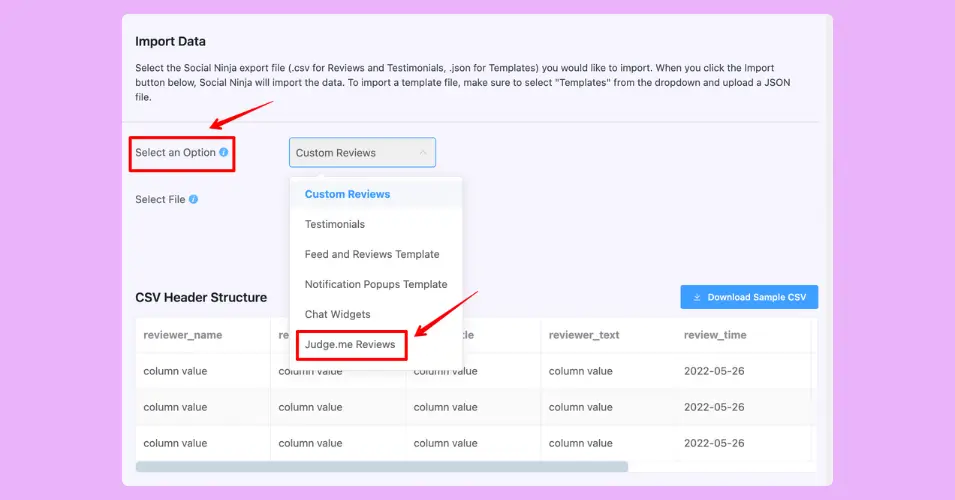Selecting the Judge.me Reviews option for a successful migration to WP Social Ninja 3.20.0