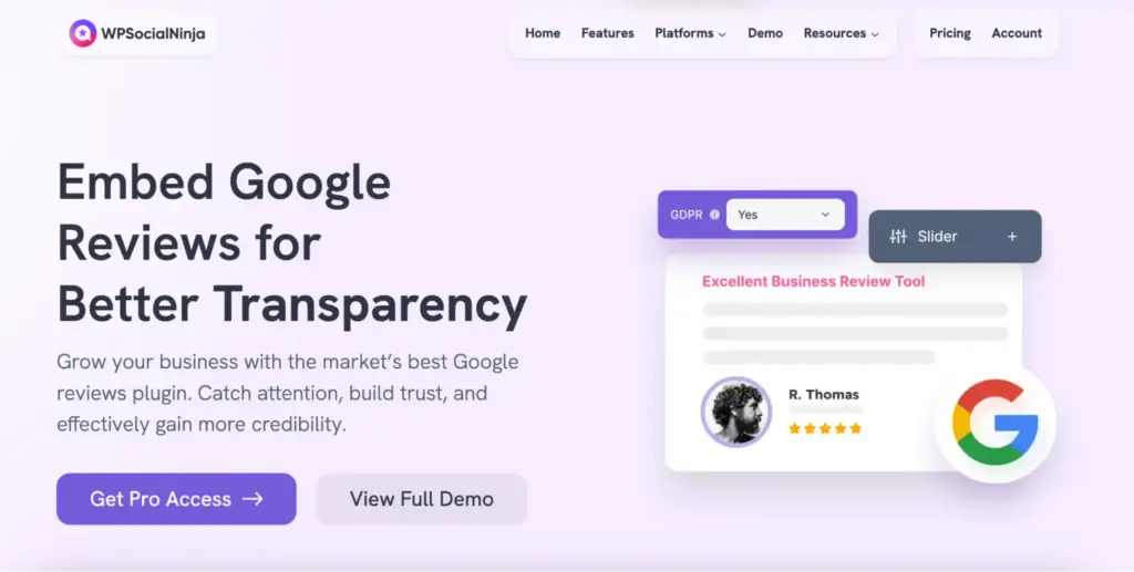 WP Social Ninja'S Google Reviews integration landing page