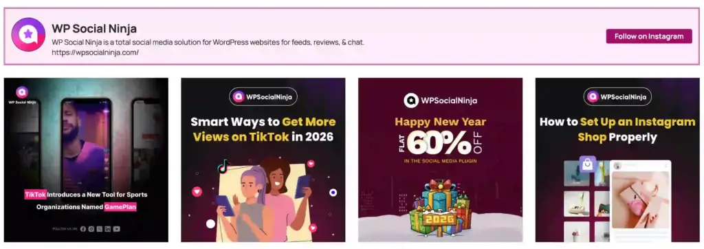 Embedded Instagram feed displayed on a business website with WP Social Ninja