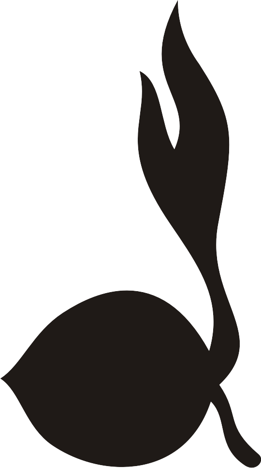 test name