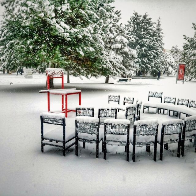 Gathering on a Snowy Day